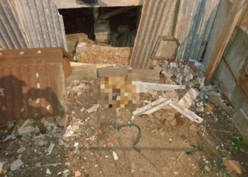 Brigada Militar atende ocorrência de maus-tratos a animal em Viadutos