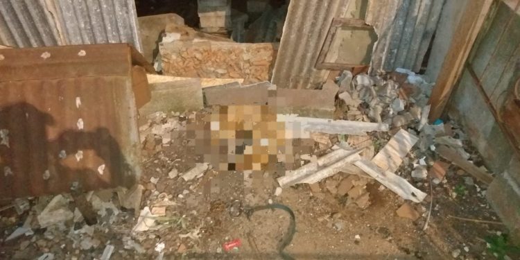 Brigada Militar atende ocorrência de maus-tratos a animal em Viadutos