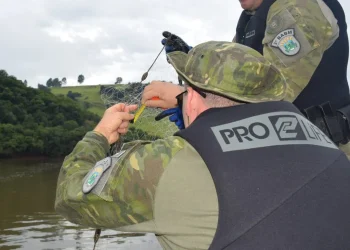Redes de pesca são apreendidas em Marcelino Ramos