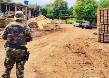 Polícia Militar Ambiental flagra serraria operando de forma irregular em Zortéa
