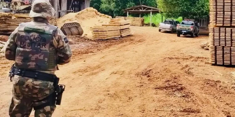 Polícia Militar Ambiental flagra serraria operando de forma irregular em Zortéa