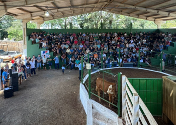 Primeiro Remate de Gado Geral de Verão é realizado com sucesso em Machadinho-RS