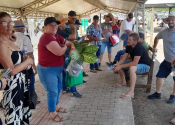 Machadinho: Agricultores do município participaram da Tecnoeste, em Concórdia