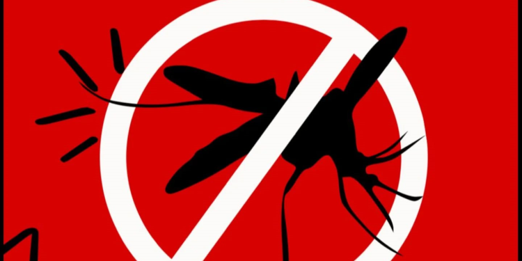 Campanha de vacinação contra a dengue começa nesta quarta-feira em São João da Urtiga