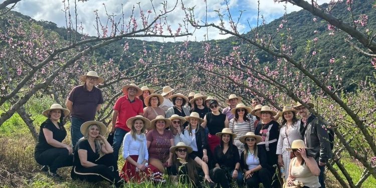 Programa Mais Turismo 2026 está com novas vagas gratuitas para qualificação profissional no Turismo Regional