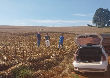 Machadinho trabalha em nova fase do Programa Terra Forte com coleta de amostras de solo