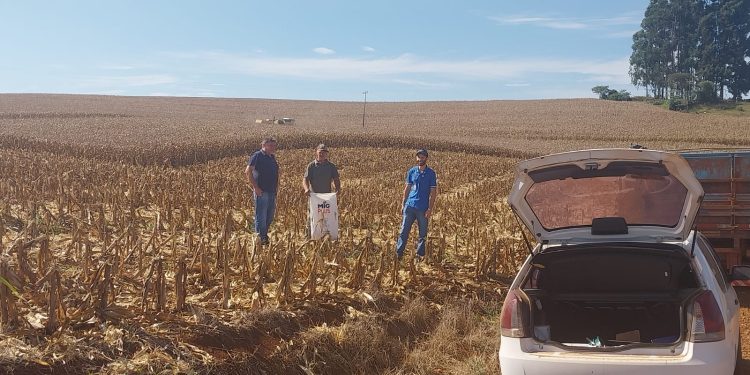 Machadinho trabalha em nova fase do Programa Terra Forte com coleta de amostras de solo