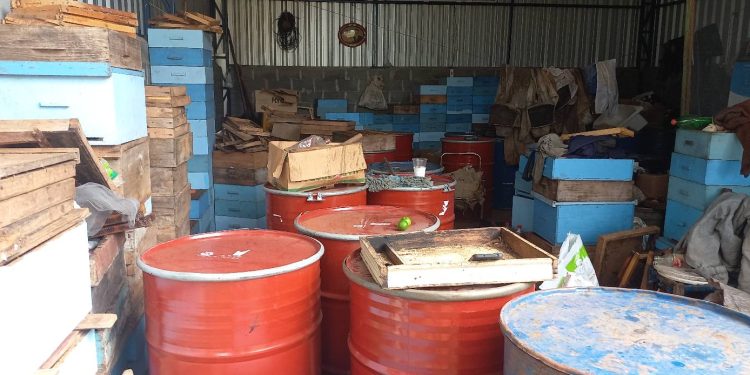 Produtores da região Nordeste gaúcha, entregam 60 toneladas de mel para exportação