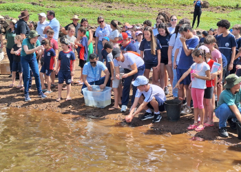 Consórcio Machadinho realiza mais uma soltura de peixes