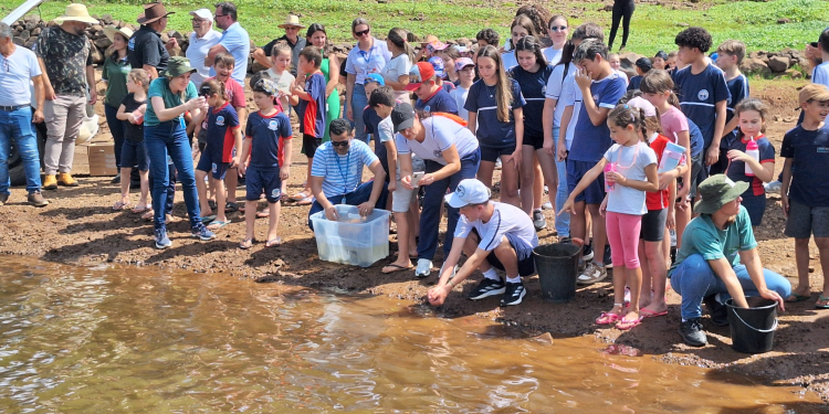Consórcio Machadinho realiza mais uma soltura de peixes