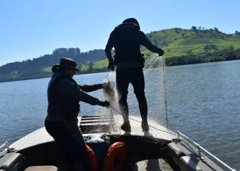 Redes de pesca são apreendidas e peixes são soltos em Marcelino Ramos, no Alto Uruguai gaúcho