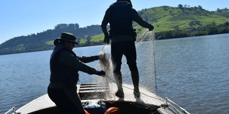 Redes de pesca são apreendidas e peixes são soltos em Marcelino Ramos, no Alto Uruguai gaúcho