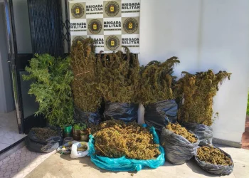 Justiça mantém prisão de homem flagrado com grande quantidade de maconha em Maximiliano de Almeida