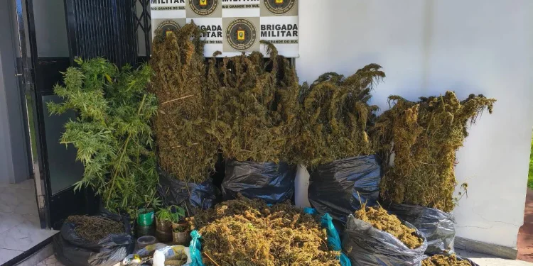 Homem é preso com grande quantidade de maconha em Maximiliano de Almeida