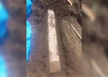 Homem aluga casa e acha ossada humana no quintal em SC