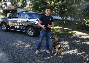 K9: inteligência, disciplina e parceria no combate ao crime