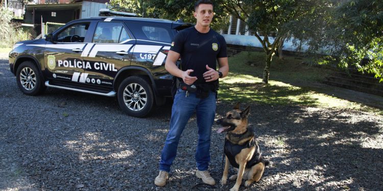 K9: inteligência, disciplina e parceria no combate ao crime