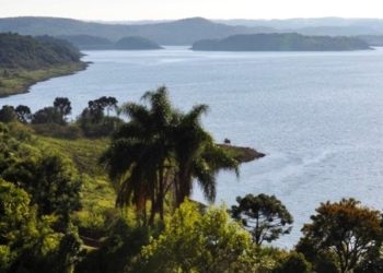 APP não é área livre: uso indevido é crime ambiental