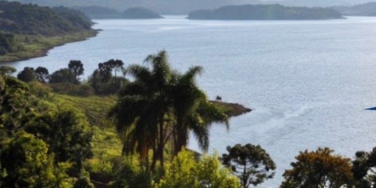 APP não é área livre: uso indevido é crime ambiental