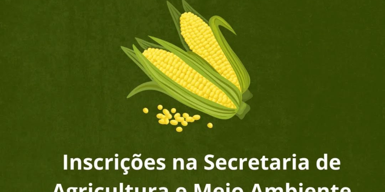 Produtores de Paim Filho já podem se inscrever no Programa Milho 100%