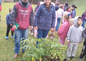 Mudas de paineira tombada como Patrimônio Vivo são doadas a escola de comunidade rural de Ipira, durante atividade ambiental
