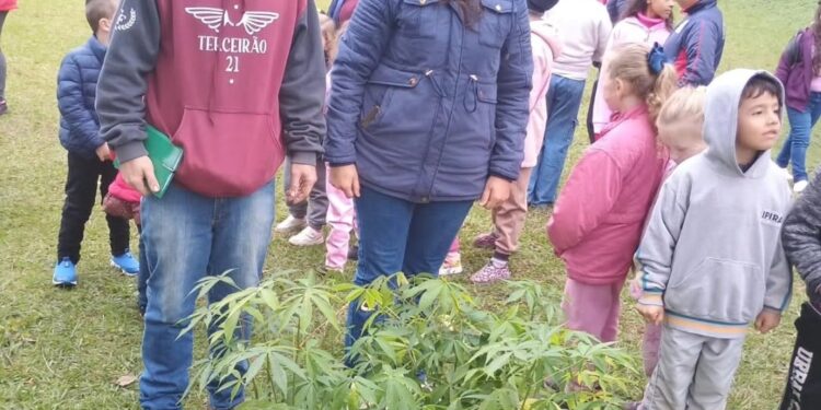 Mudas de paineira tombada como Patrimônio Vivo são doadas a escola de comunidade rural de Ipira, durante atividade ambiental