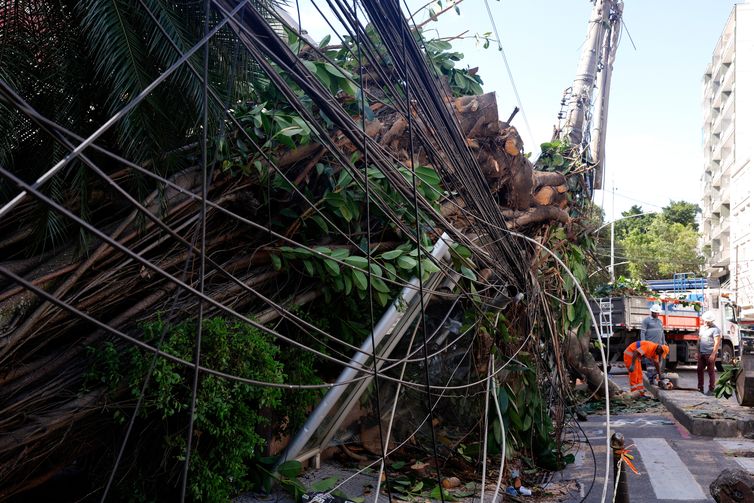 Tânia Rêgo/Agência Brasil Rio de Janeiro (RJ), 30/07/2026 - Estragos provocados pelos fortes ventos que atingiram a cidade na tarde desta quarta-feira (29). Árvore caí em frente ao Hospital Pró-Cardíaco, em Botafogo, destruindo portão e fiação Foto: Tânia Rêgo/Agência Brasil