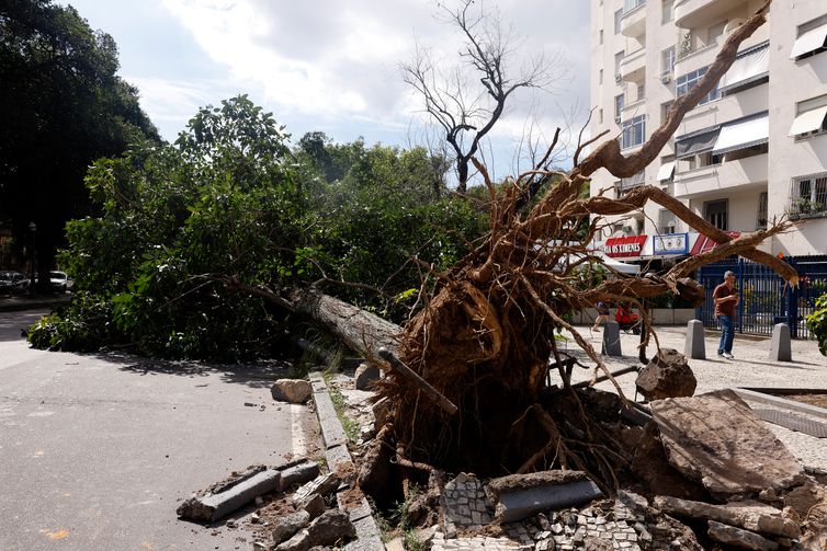Tânia Rêgo/Agência Brasil Rio de Janeiro (RJ), 30/07/2026 - Estragos provocados pelos fortes ventos que atingiram a cidade na tarde desta quarta-feira (29). Foto: Tânia Rêgo/Agência Brasil