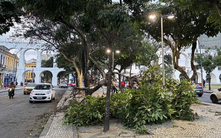 Rio de Janeiro - 29/07/2026 - ventania causa estragos no Rio. Foto Tânia Rêgo/Agência Brasil
