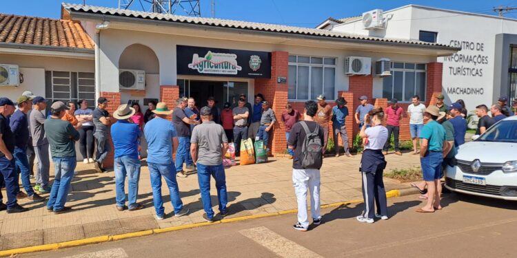 Programa Troca-Troca Milho 100% beneficia cerca de 52 famílias de agricultores em Machadinho