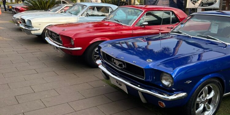 Encontro de veículos antigos reúne 155 carros em Piratuba, no Oeste de SC