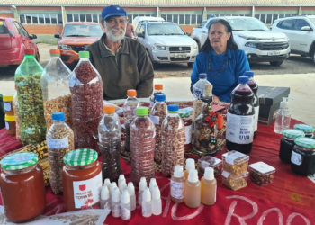 Consórcio Machadinho participa de Feira de Sementes Crioulas em Barracão
